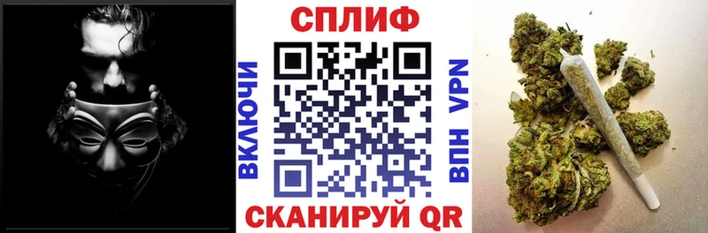 Где купить наркоту Шатура Cocaine  Каннабис  Меф  hydra   Гашиш  Alpha PVP 