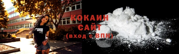 тгк Алексин