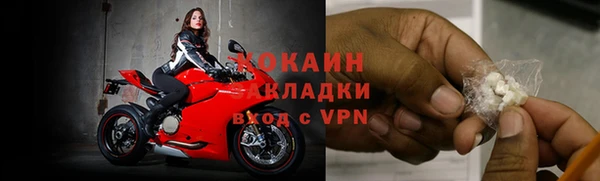 тгк Алексин