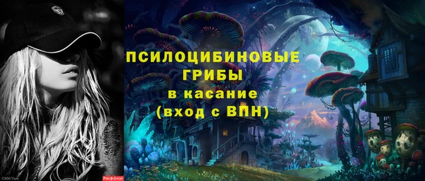 тгк Алексин