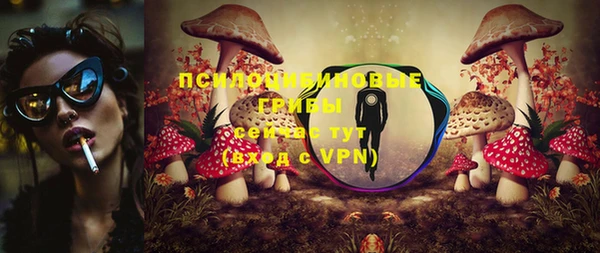 тгк Алексин