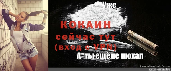тгк Алзамай